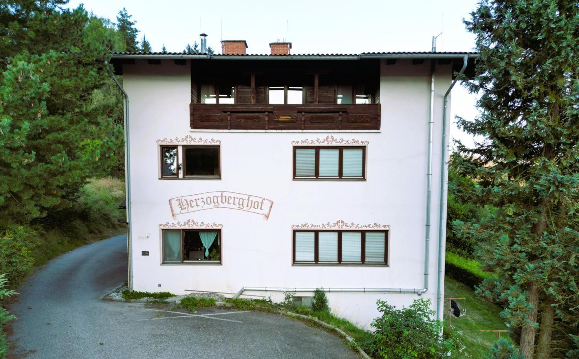Herzogberghof Kindberg Exterior foto